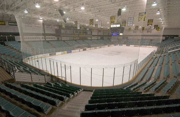 Arena Protective Netting